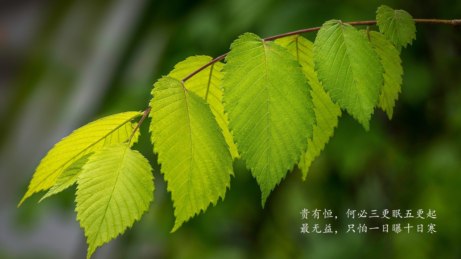 牡丹江市农贸市场有哪些（牡丹江农贸市场在哪）